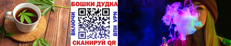 Купить закладки  Приозерск  Canna-Cookies конопля 