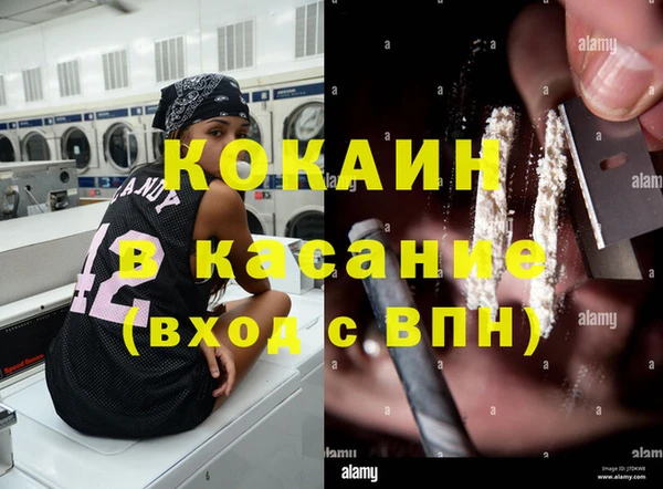 дживик Богданович